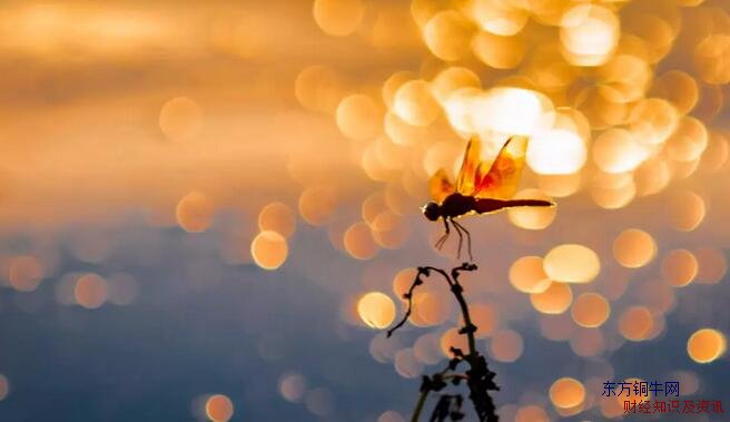 ĹҎ(gu)ɣ