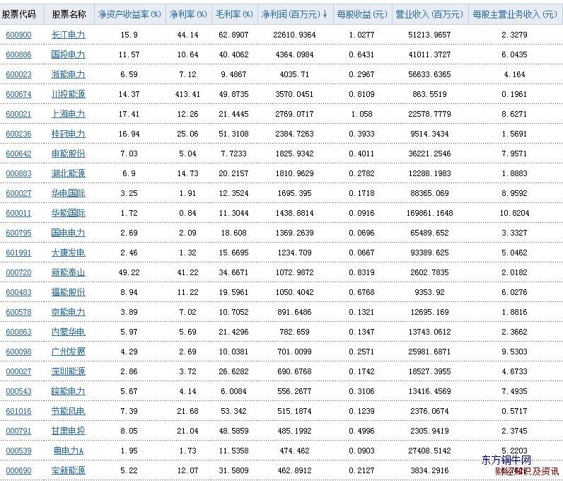 電力行業凈利潤表