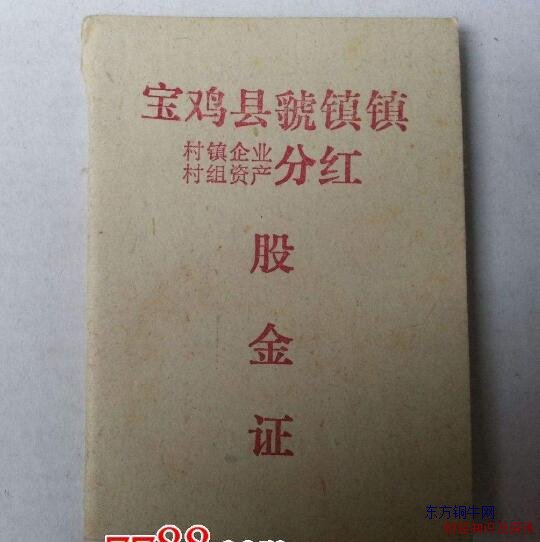 股息紅利分紅