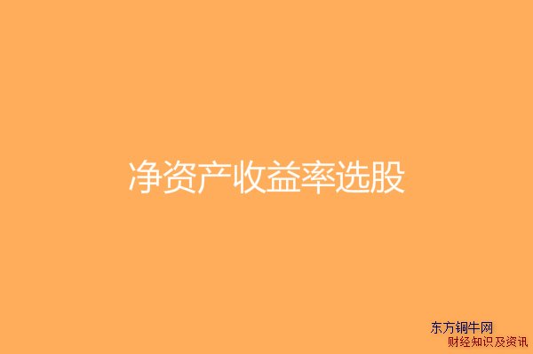 凈資產收益率選股